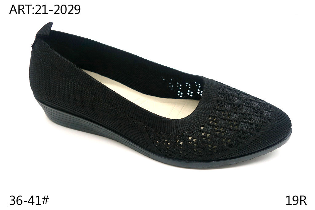21-2029
