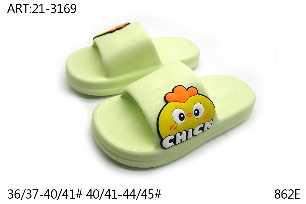 21-3169
