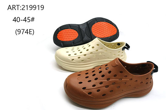 219919