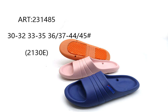 231485