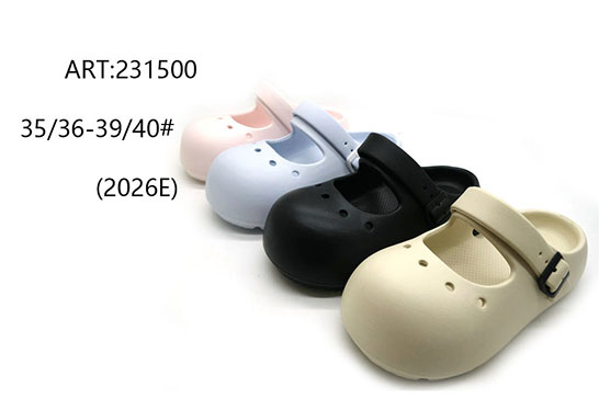 231500